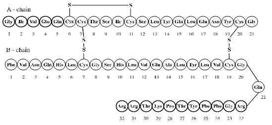 fórmula estructural